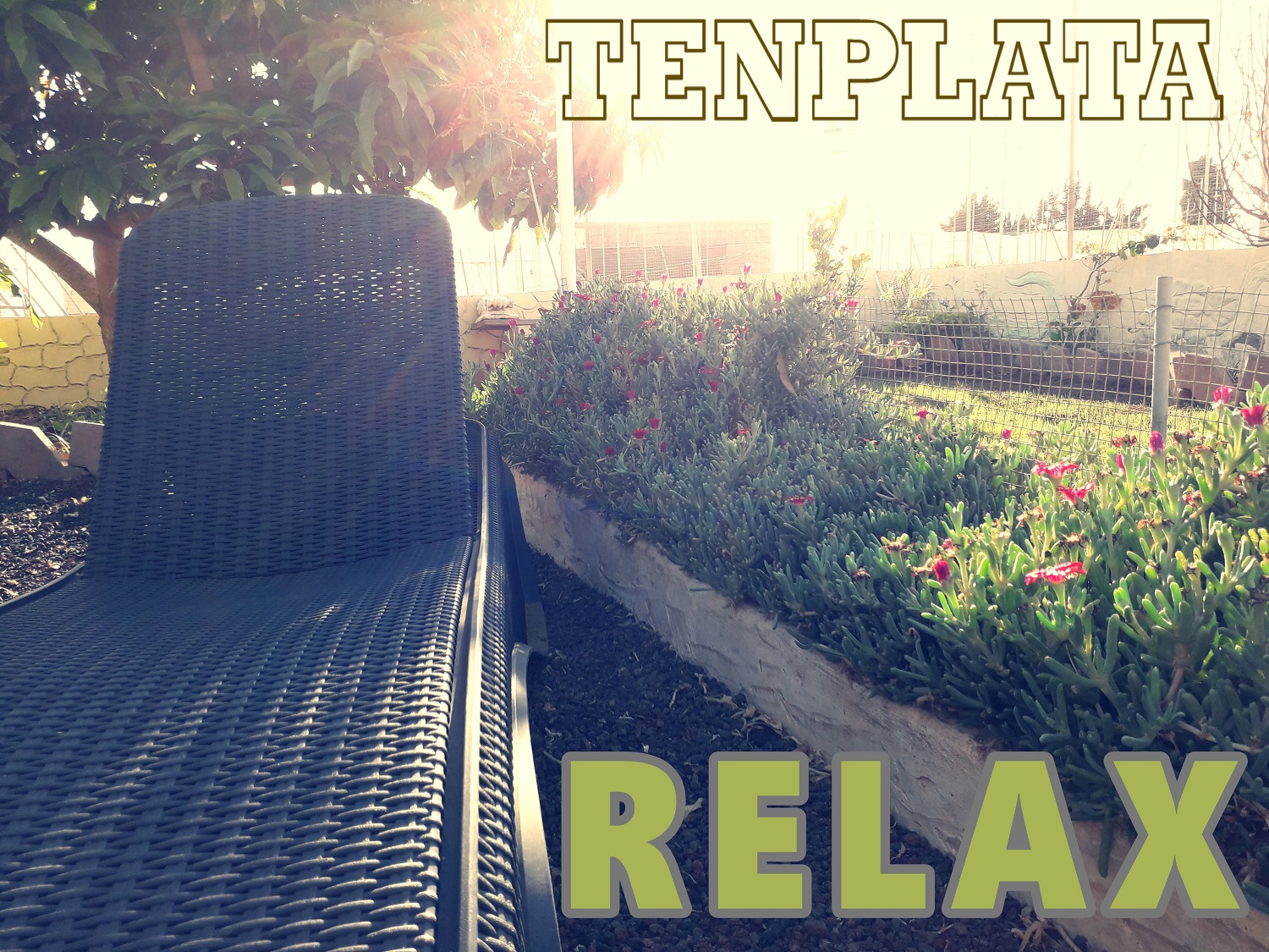 Relax en Tenplata